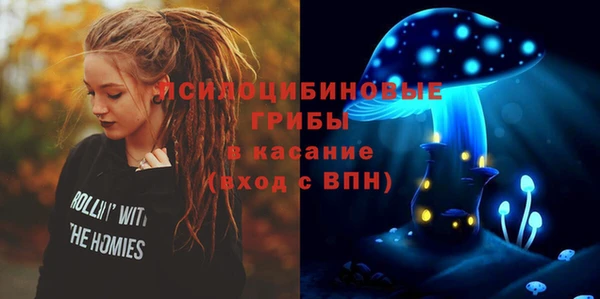 ALPHA PVP Богородицк