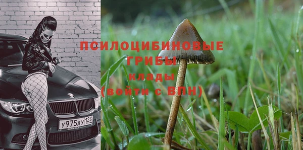 ALPHA PVP Беломорск