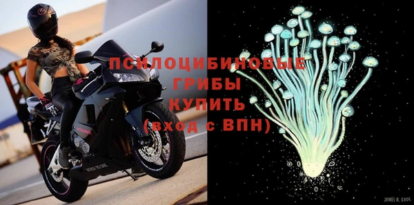 ALPHA PVP Беломорск
