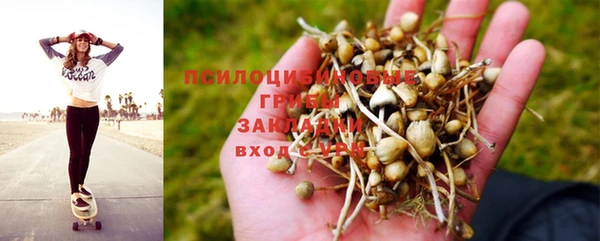 мяу мяу кристалл Белокуриха